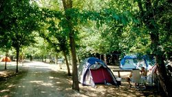 slide-camping-06.jpg