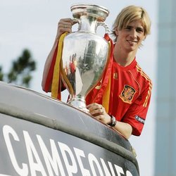 o_seleccion_espanola_fernando_torres-15650.jpg