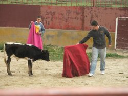 capea de taxistas 2008 006.jpg