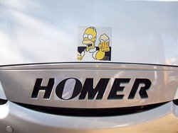 homer 2.jpg