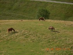 VACANCES 2007 - VALL D'ARAN 191 [DVD (PAL)].jpg