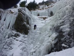 Cuco en la cascada.jpg