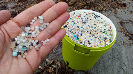 pellets-recogidos-en-la-playa-de-denia-770x433.jpg