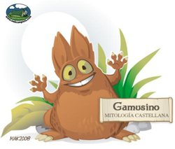 gamusino webcampsita.JPG