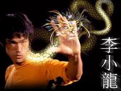 bruce lee 2010.jpg