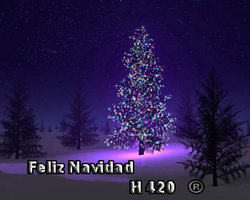 Fnavidad.jpg