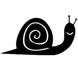 CARACOL2.jpg