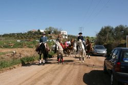 romeria belen (3).jpg