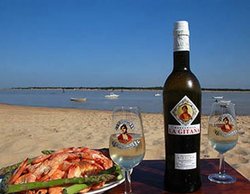 manzanilla-de-sanlucar1.jpg