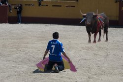 torero.jpg