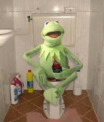 kermit en el baño.jpg