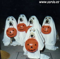 perros_halloween.jpg