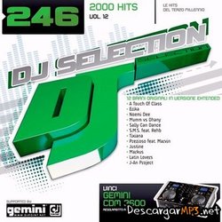 dj-selection-vol-246-2000-hits-vol-12-2009.jpg