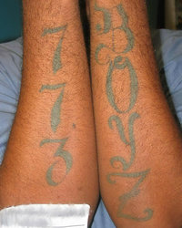 773-tattoo-arms.jpg