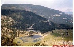 ESTANY   SEC       MULLERES DEL PUIGPEDRÓS.jpg