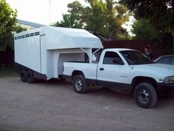 1324437932_293127233_1-TRAILERS-PARA-TRANSPORTE-DE-CABALLOS-CUATRICICLOS-ETC-parque-leloir.jpg