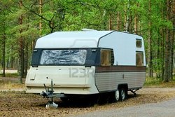 7488131-caravana-de-pie-en-el-bosque-de-brillante-camping.jpg