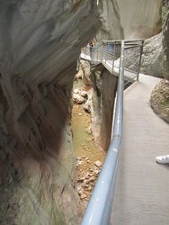 tordomar-2011 104.jpg