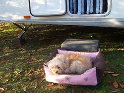 mincha siesta.jpg