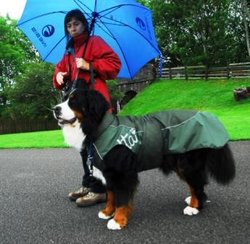 06_03_Paseando_a_Mateo_bajo_la_lluvia.JPG