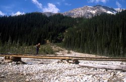 Ruta cascadas gemelas. Yoho N.P. - 013.jpg