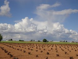 Almagro 2012 080.jpg