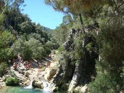 Cazorla 2012 578.jpg