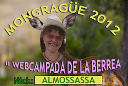 ALMOSSASSA.jpg