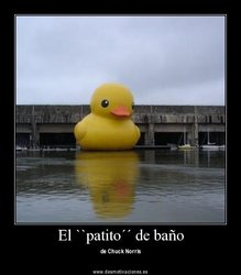 CR_208095_el_patito_de_bantildeo.jpg