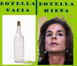 Botellallena.jpg