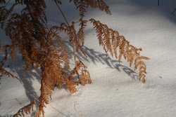 2012-12-01_barranca_015.jpg