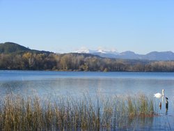 Banyoles 026.jpg