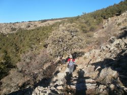 El Escorial 016.jpg