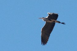 2013-01-03_vueltaparque_019.jpg