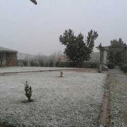 Nevando.jpg