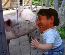 cerdito poyato.JPG