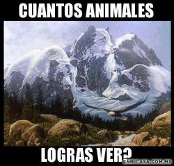 cuantos animales ay.jpg