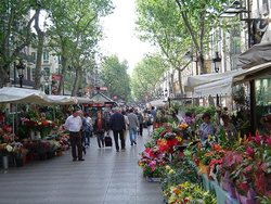 ramblabarcelona1.jpg