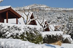 nevada en serra de prades.jpg