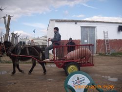 MATANZA PALAZUELO, 22, 23,24 FEBRERO 2013 014.jpg