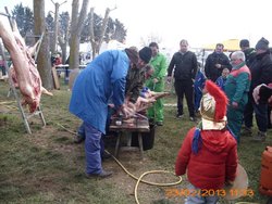 MATANZA PALAZUELO, 22, 23,24 FEBRERO 2013 017.jpg