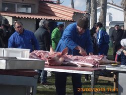 MATANZA PALAZUELO, 22, 23,24 FEBRERO 2013 022.jpg