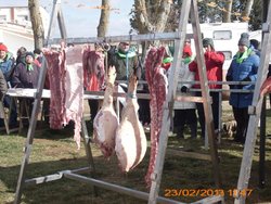 MATANZA PALAZUELO, 22, 23,24 FEBRERO 2013 024.jpg