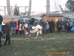 MATANZA PALAZUELO, 22, 23,24 FEBRERO 2013 044.jpg