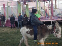 MATANZA PALAZUELO, 22, 23,24 FEBRERO 2013 045.jpg