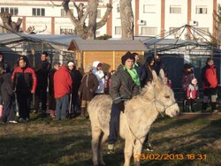 MATANZA PALAZUELO, 22, 23,24 FEBRERO 2013 050.jpg