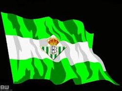 bandera del betis.jpg