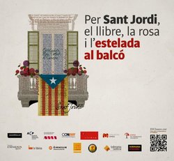 AMI_estelada-sant-jordi_blava.jpg