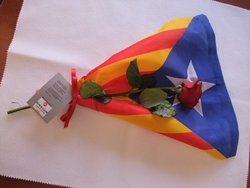 rosa-independencia-1.jpg