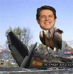 Falcon.jpg